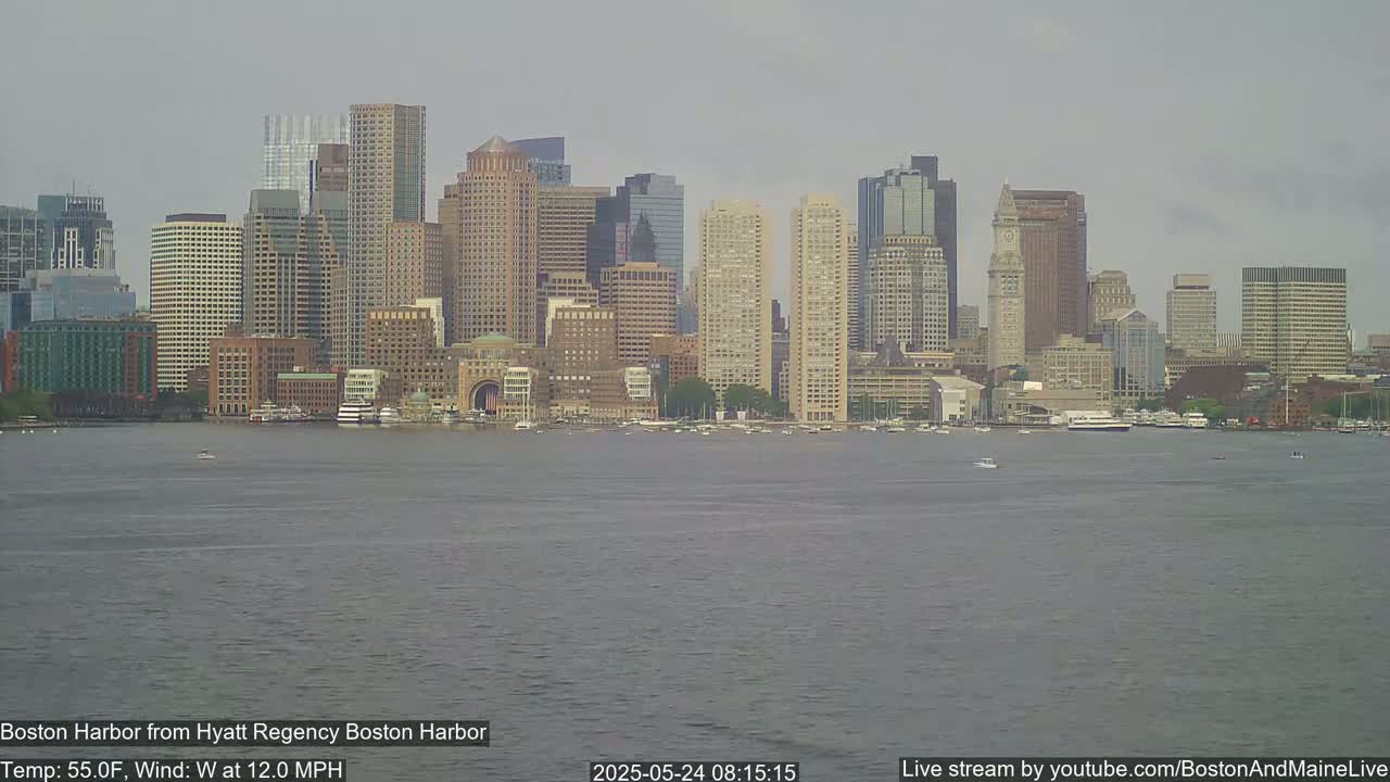 A cityscape of numerous skyscrapers and high-rise buildings is seen across a body of water under an overcast sky.