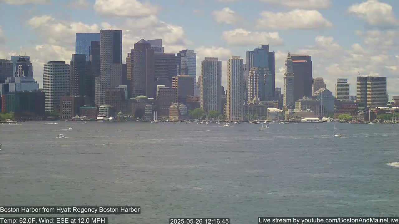 A city skyline with many skyscrapers is visible across a body of water under partly cloudy skies with a moderate wind.