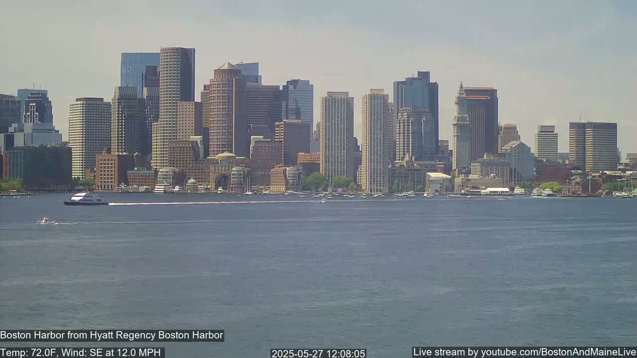 A ferry travels across a calm harbor in front of a cityscape under a mostly clear sky.