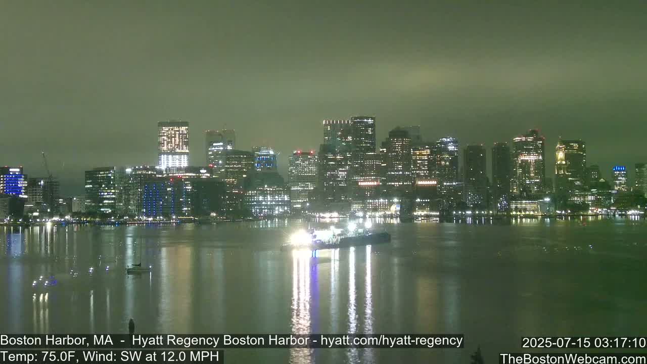 A nighttime view of a city skyline across calm water under a hazy, greenish sky.
