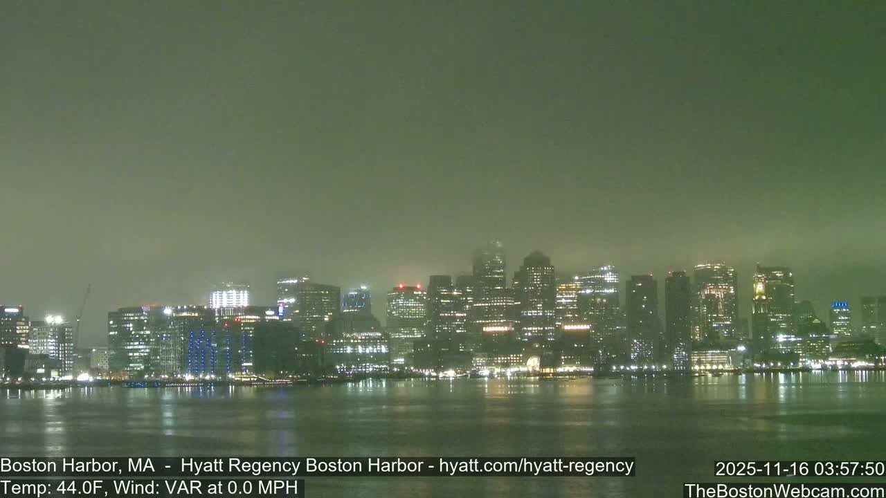 A brightly illuminated city skyline reflects across a calm body of water under a murky, greenish, and heavily overcast sky, indicative of a foggy or misty night.