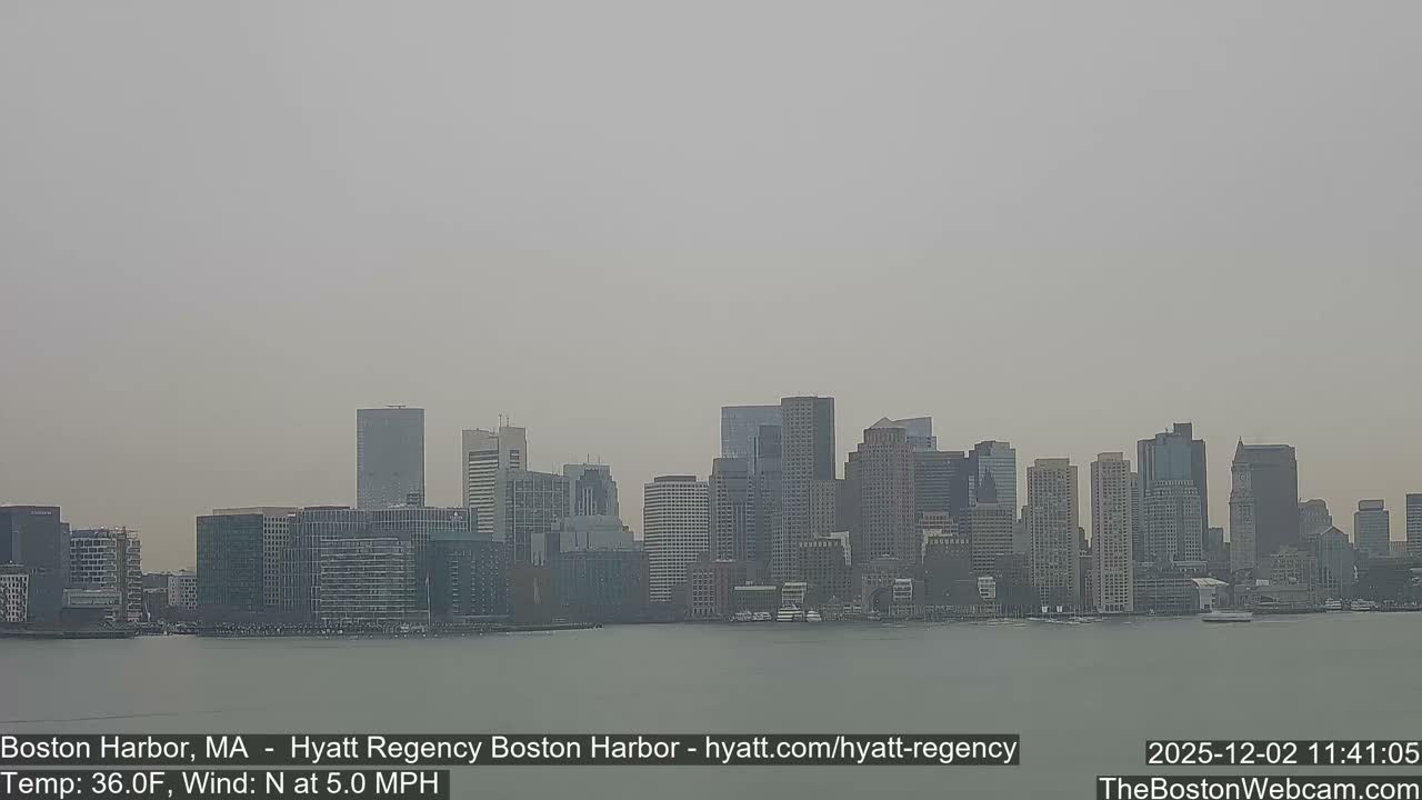 A hazy, overcast sky hangs over a large city skyline featuring numerous buildings of varying heights, viewed across a calm body of water.