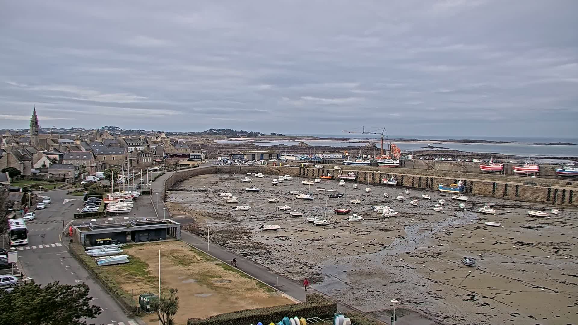 Numerous small boats are docked in a harbor at low tide, with a town and coastline visible in the background under a cloudy sky.
