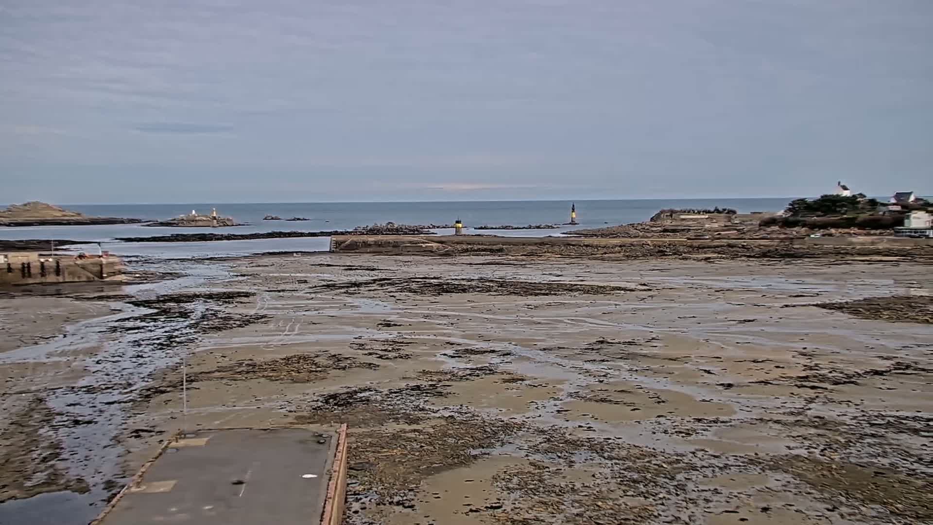 A mostly exposed harbor with a calm sea in the background, under an overcast sky.
