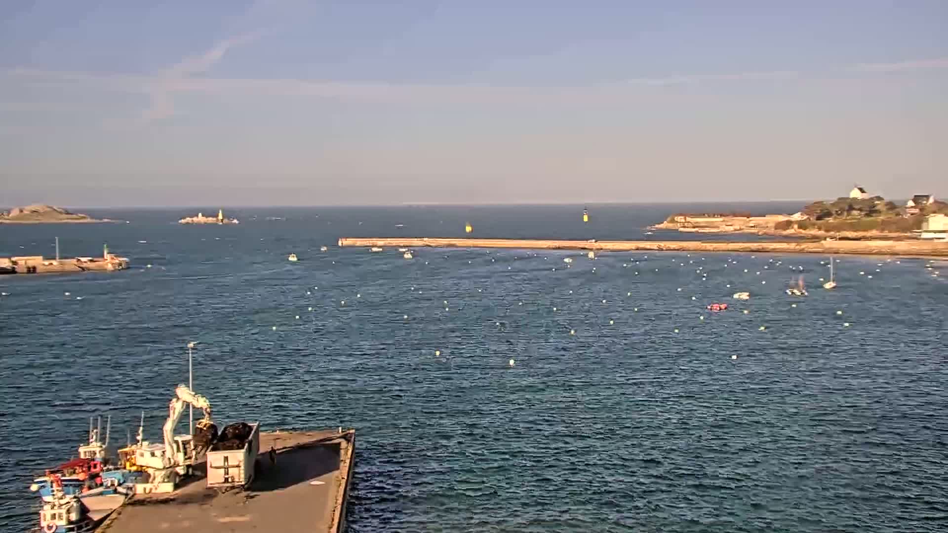 A harbor with several boats and a crane loading a barge is shown on a calm, sunny day.