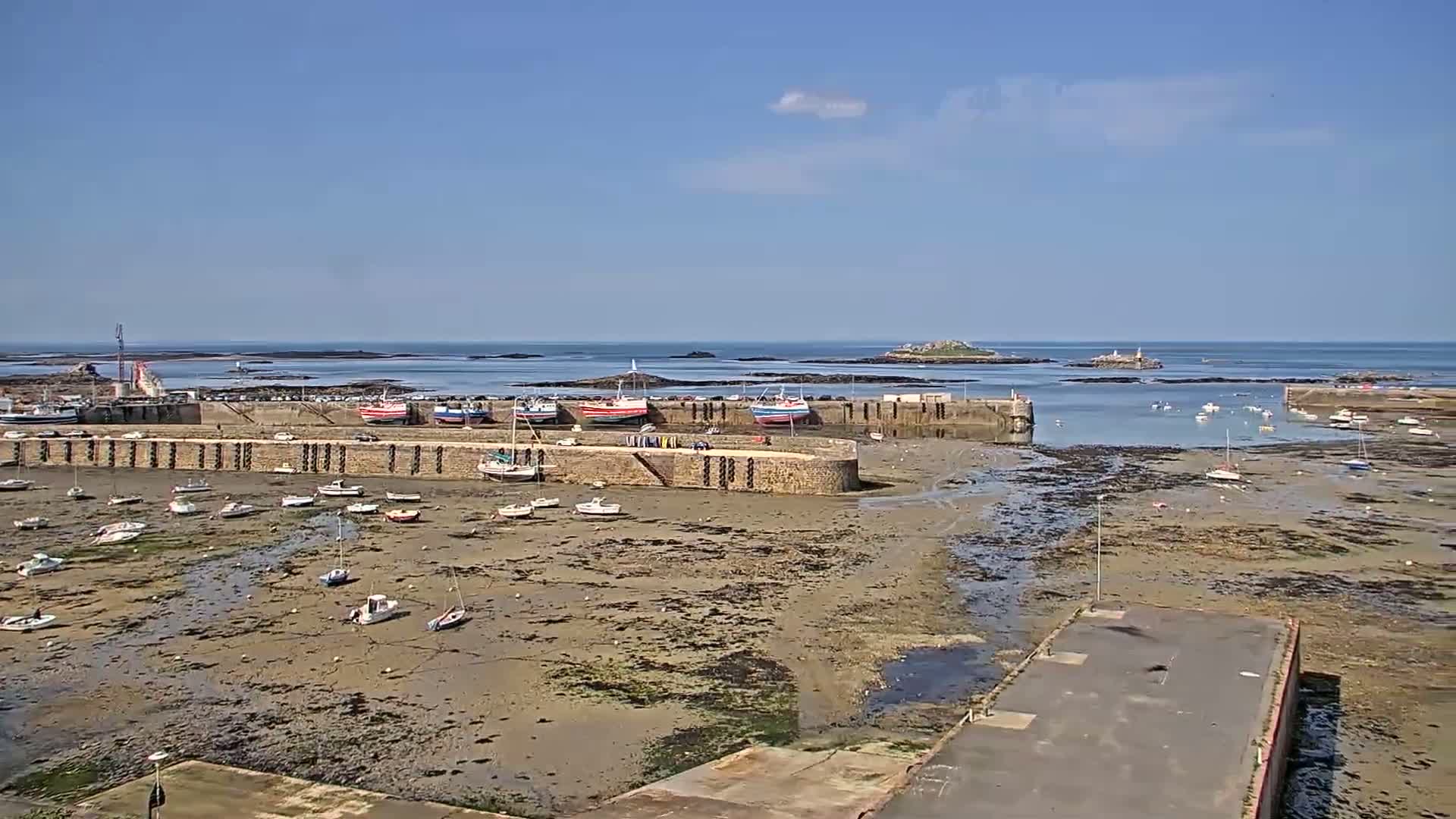 A harbor with numerous boats sits on a mostly exposed, muddy seabed under a clear, sunny sky, with an island visible in the distance.