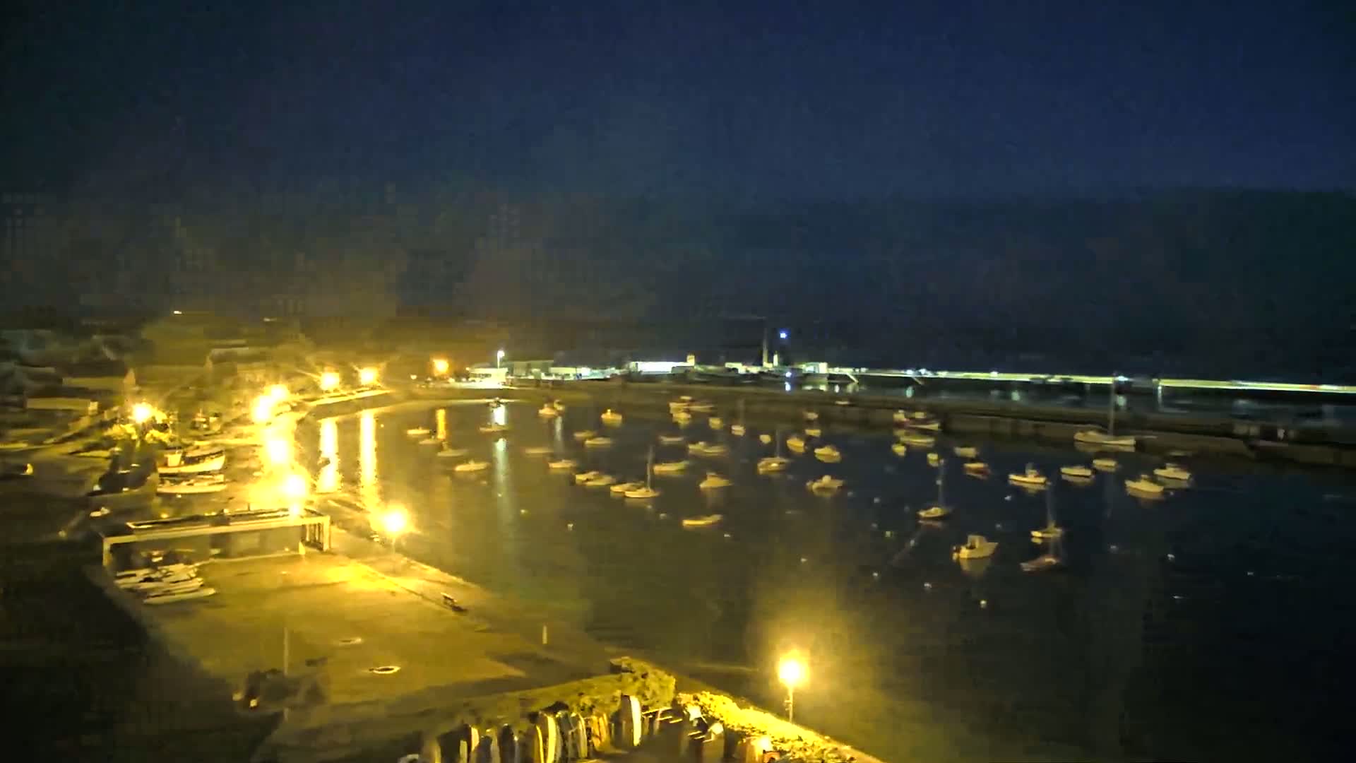 A nighttime view of a harbor filled with numerous small boats, illuminated by artificial lights under a dark sky.
