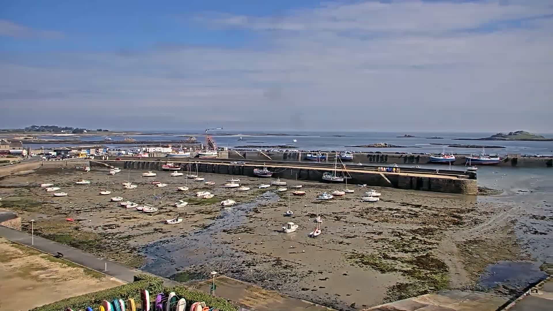 A harbor filled with numerous small boats sits on a mostly exposed, muddy seabed under a partly cloudy sky.