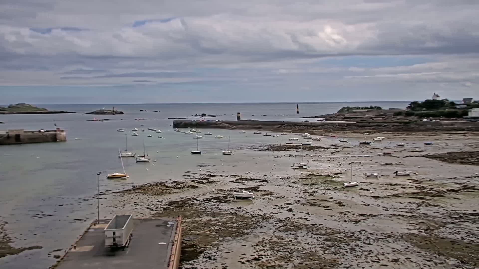 Numerous sailboats are moored in a calm harbor at low tide under a cloudy sky.