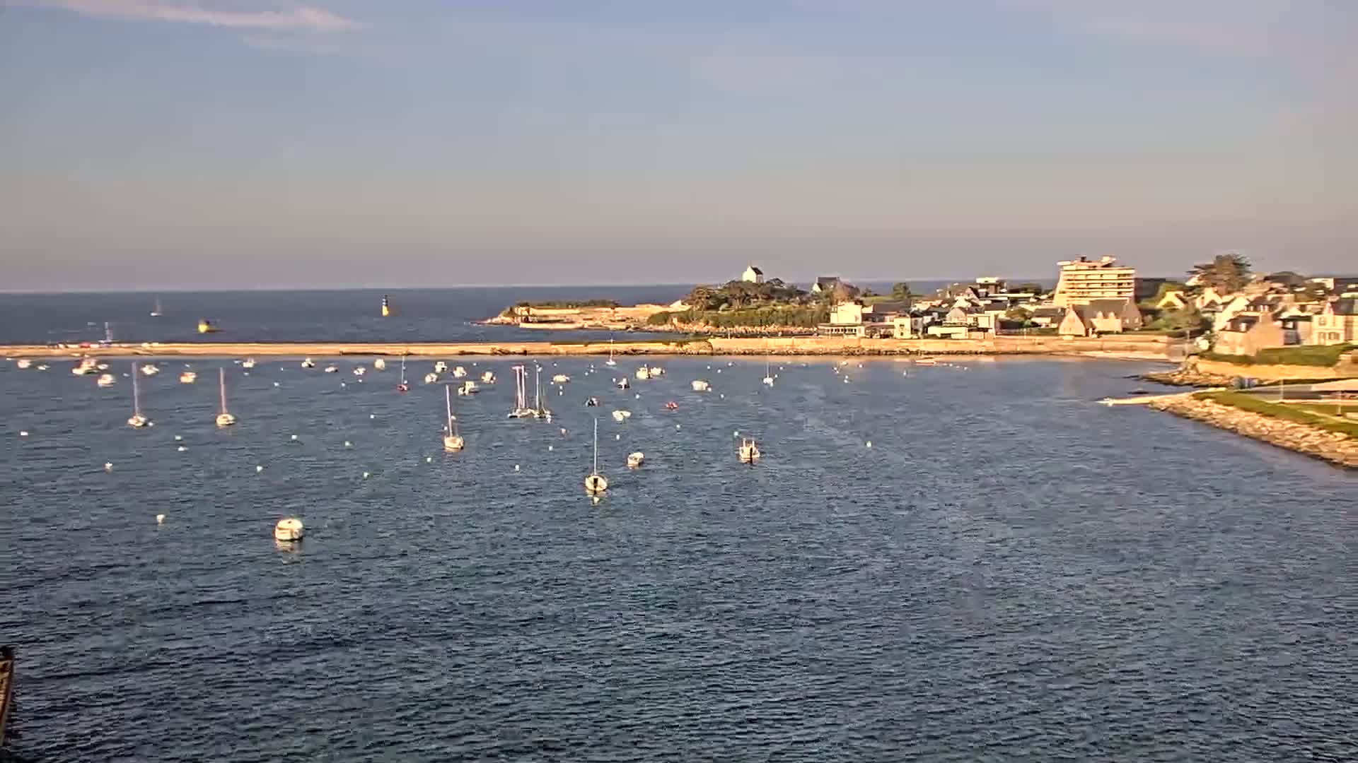 Numerous sailboats are moored in a calm bay near a coastal town under a clear sky.