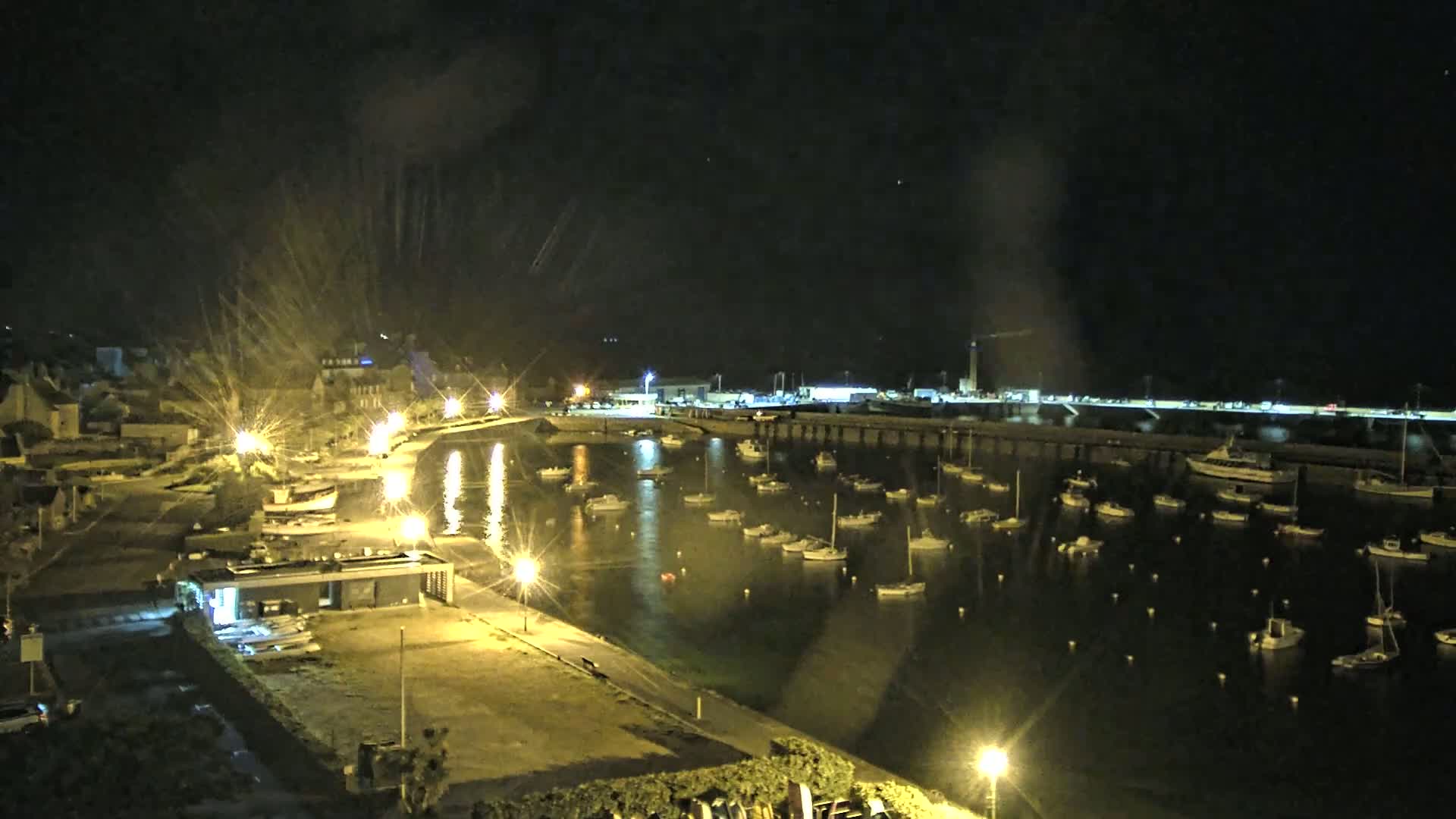 A nighttime view of a harbor filled with boats, illuminated by streetlights, under a clear, dark sky.
