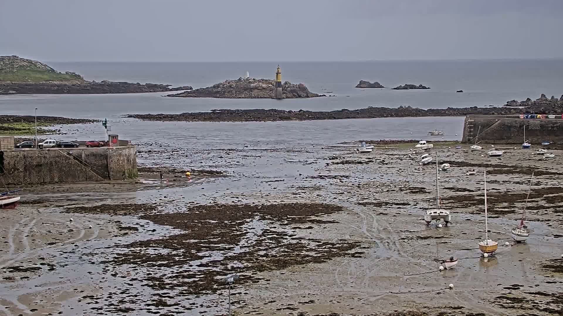A harbor with numerous boats resting on exposed mudflats at low tide, under an overcast sky, features a small island with a lighthouse in the background.
