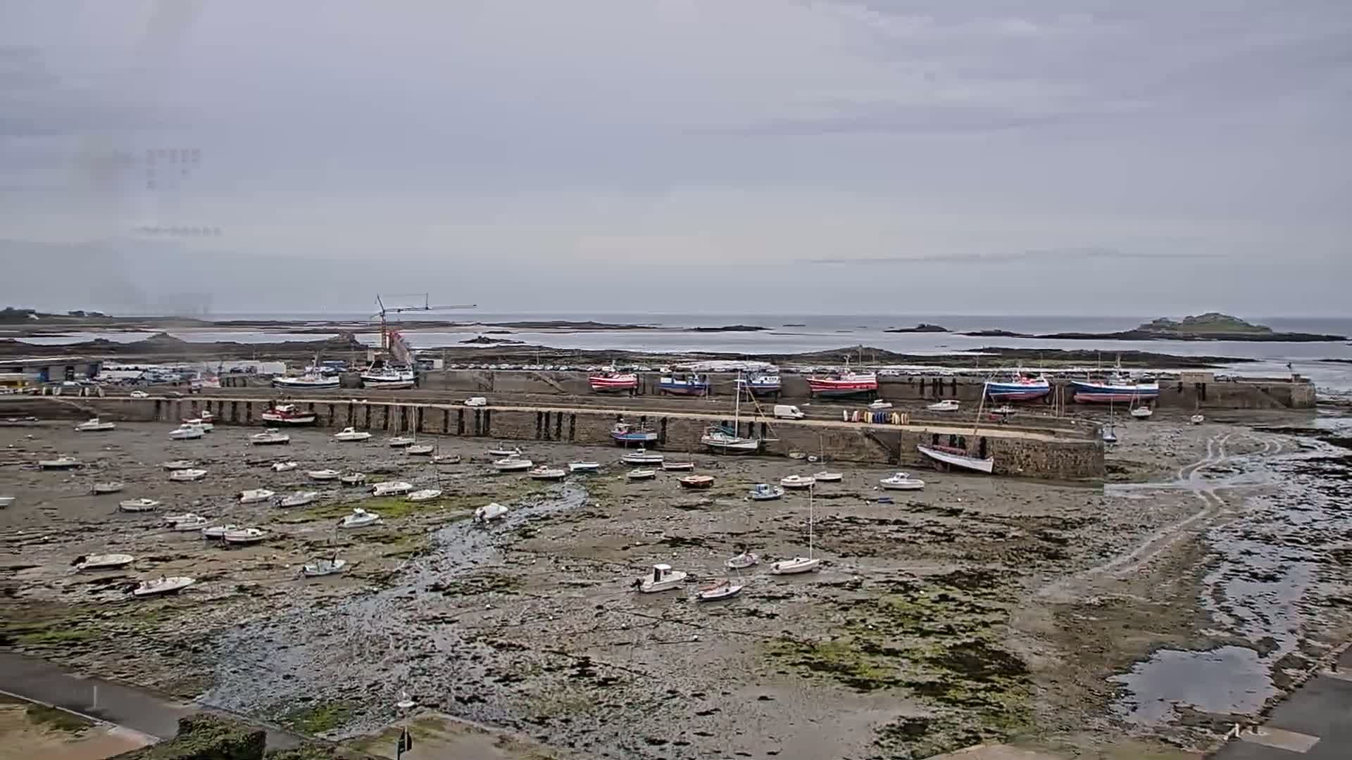 Many small boats are docked in a harbor at low tide under an overcast sky.