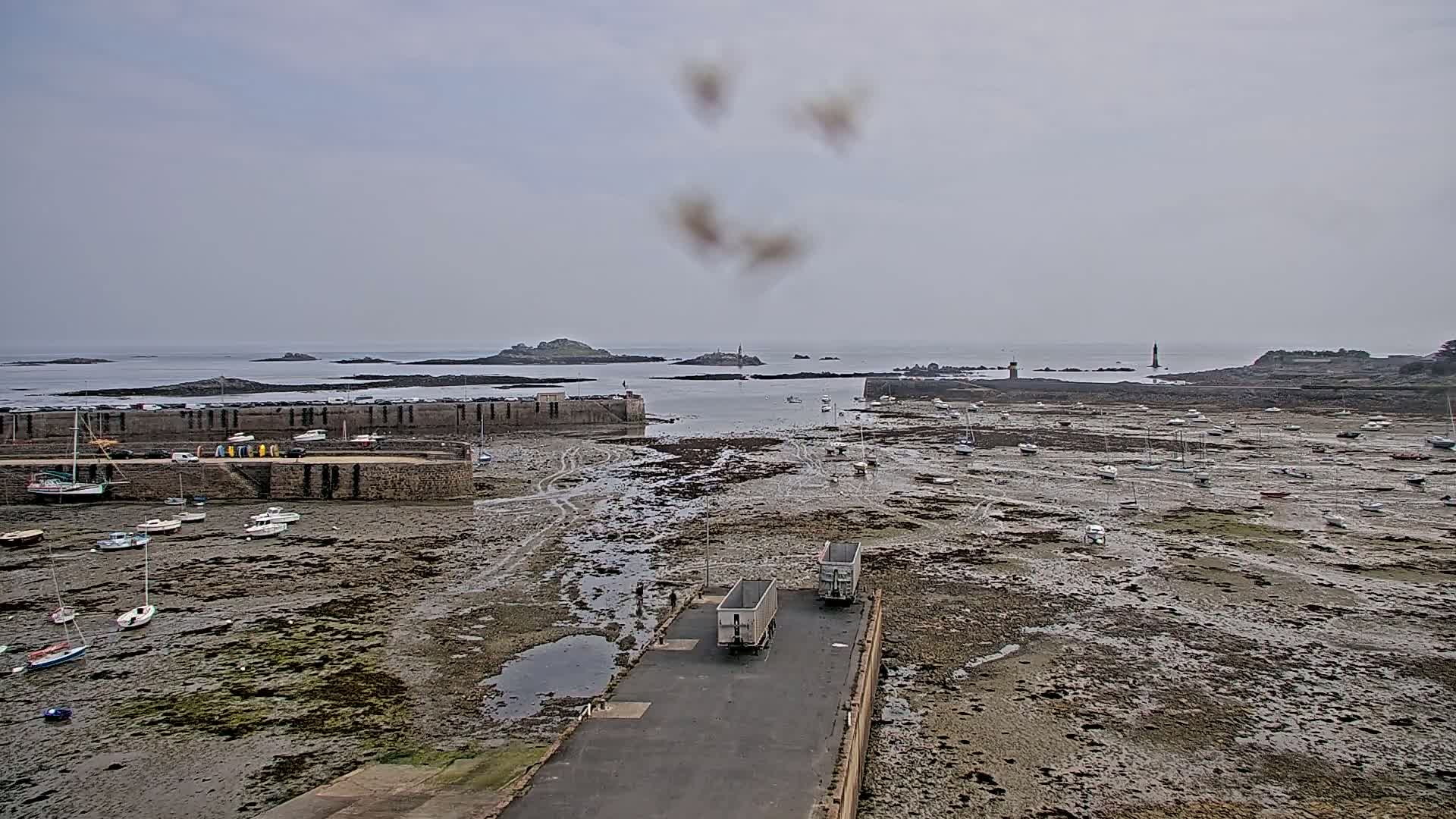 A harbor with numerous boats rests on a tidal flat, with two trailers parked on a nearby paved area; islands and a lighthouse are visible in the distance under an overcast sky.