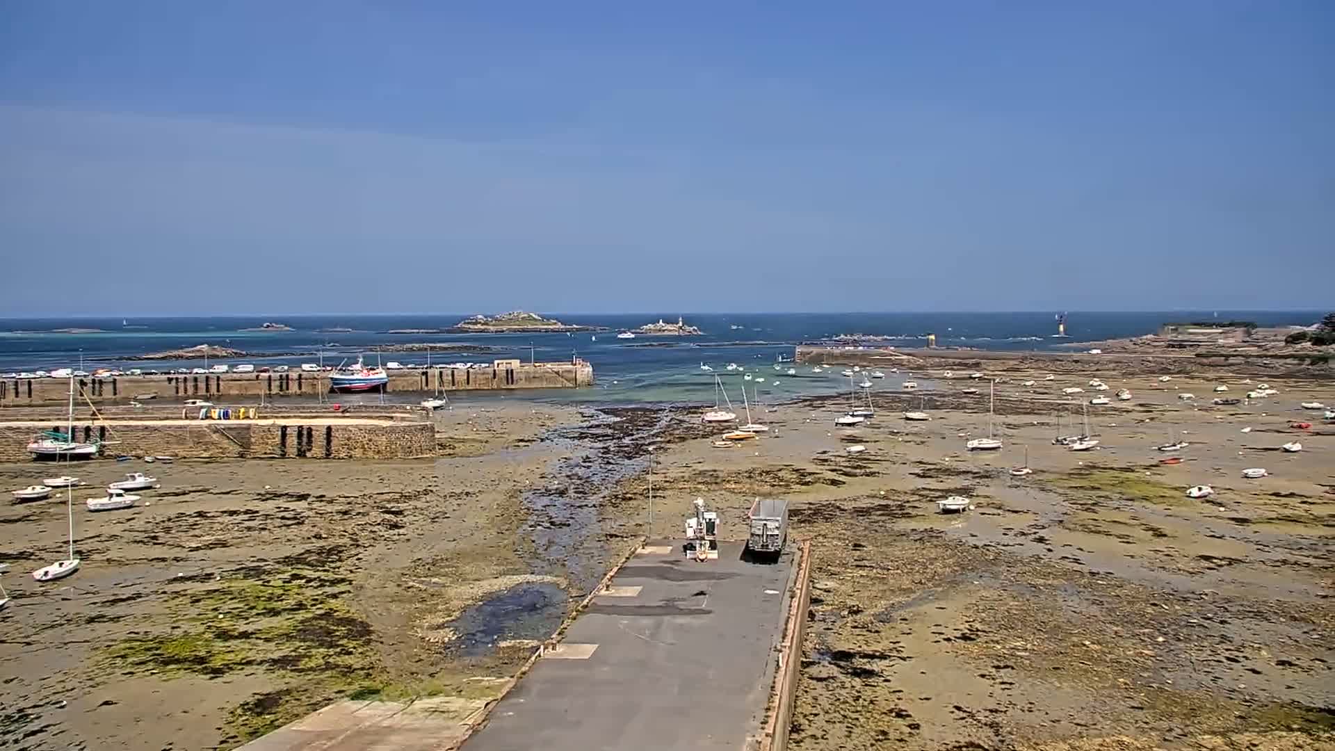 A harbor with numerous boats at low tide on a sunny day, with a small island visible in the distance.