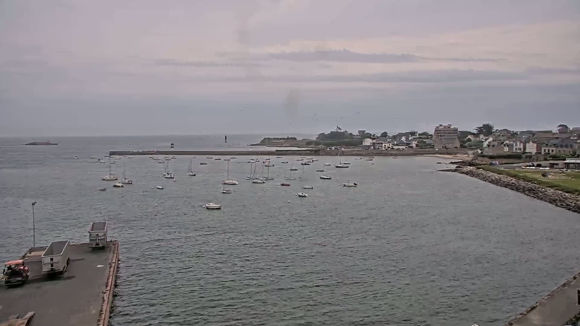 Numerous sailboats are moored in a calm harbor next to a small town under an overcast sky.