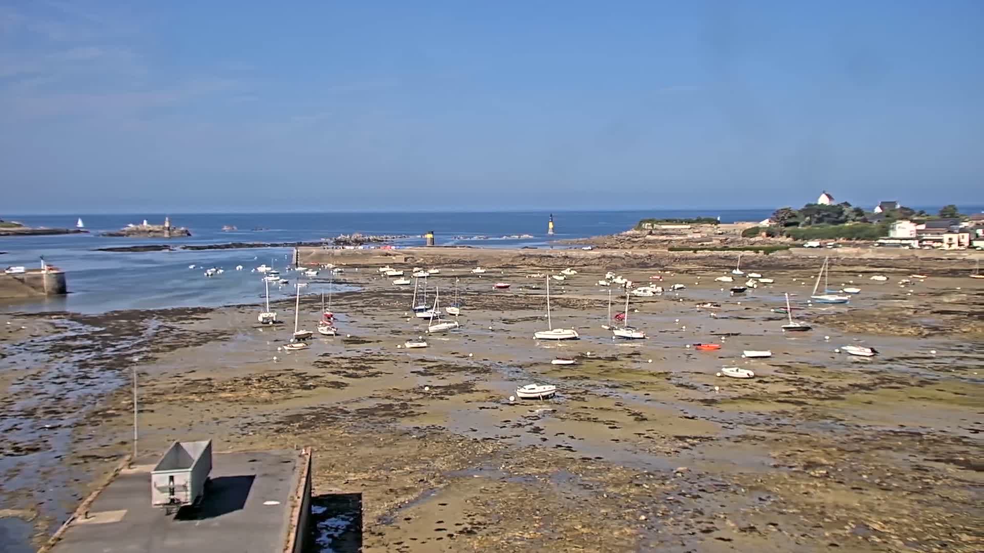 A harbor filled with numerous sailboats sits exposed at low tide under a clear, sunny sky.
