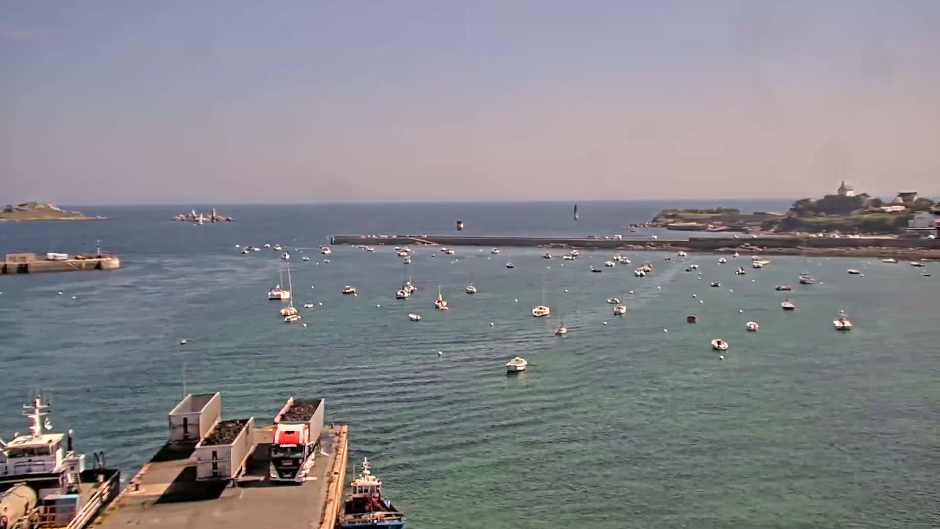A harbor filled with numerous sailboats and small motorboats under a clear, sunny sky, with a truck carrying cargo visible on a dock in the foreground.