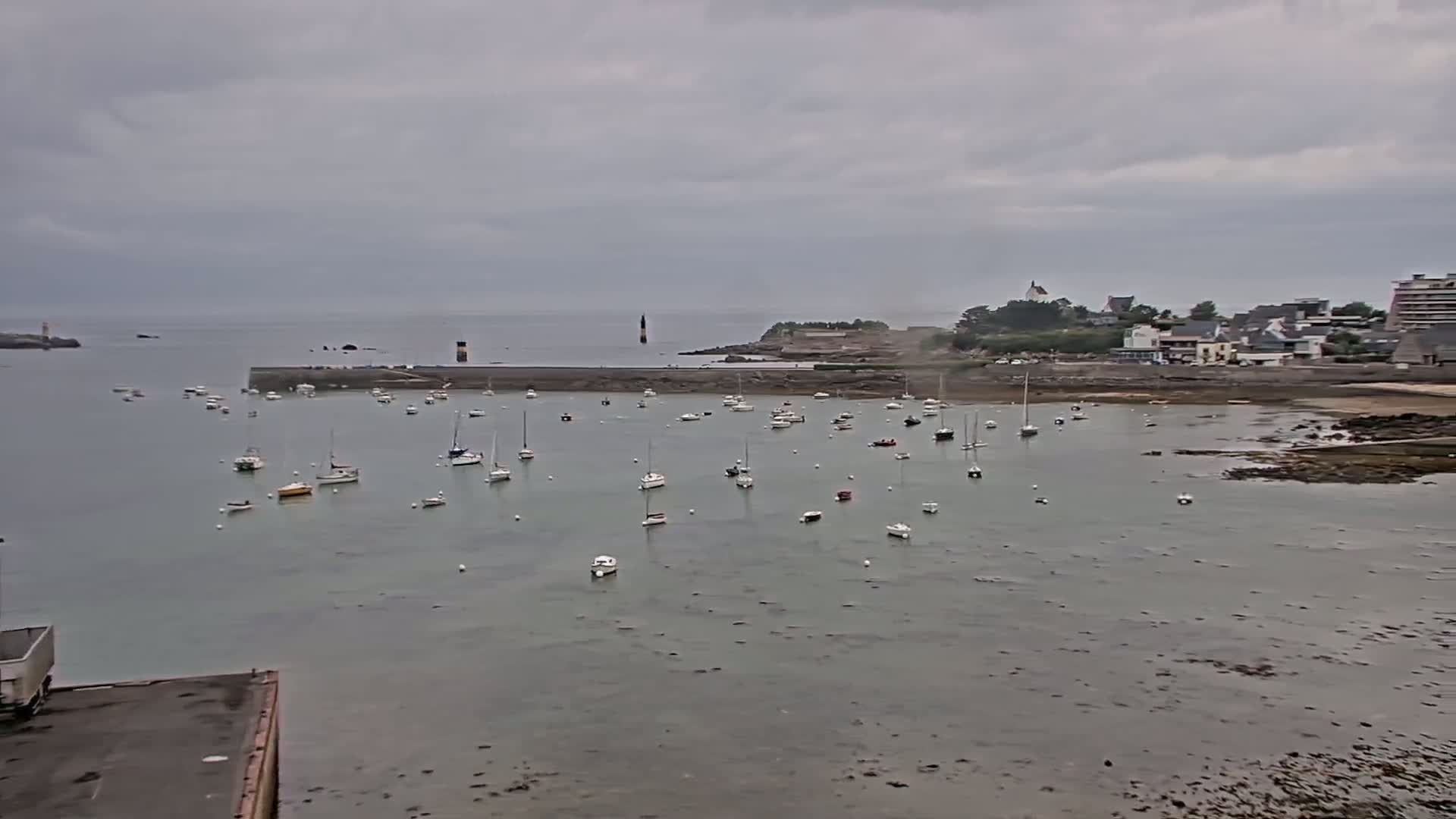 Numerous sailboats are moored in a calm harbor under an overcast sky, with a small town visible in the background.