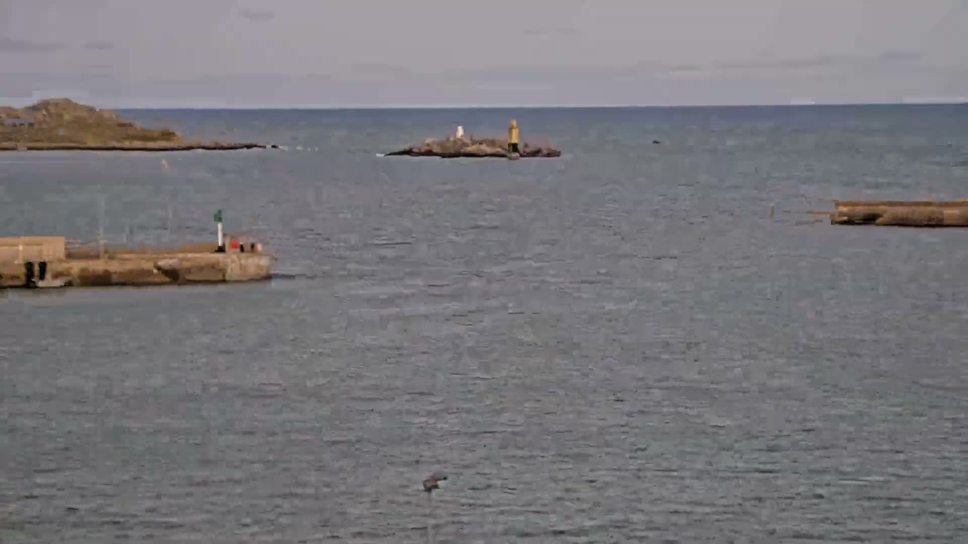 Roscoff City Port & Beach Live Cam - Morlaix, Finistère, Bretagne, France
