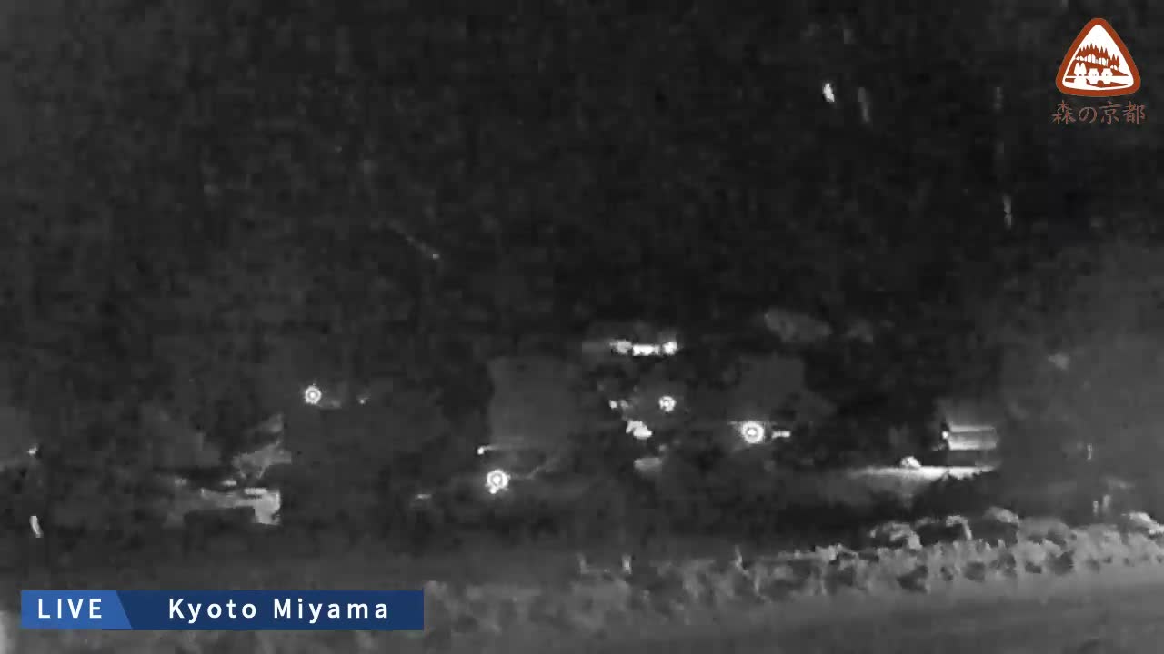 A grainy, monochrome night-vision view captures a snowy rural landscape dotted with distant lights under falling snow.