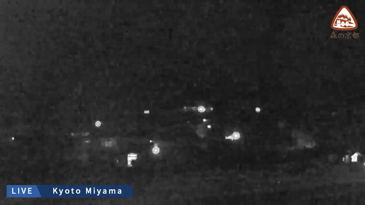 A grainy, monochrome night-vision view captures a snowy rural landscape dotted with distant lights under falling snow.