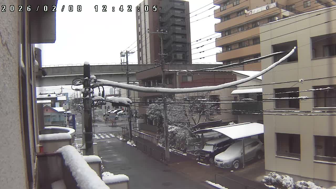 Tokyo, Yazaike, Ogubashi-Dori Avenue / Yazaike 3  Intersection & Nippori Toneri Liner 3. km Viaduct towrads South  ( 東京・谷在家・尾久橋通り / 谷在家3交差点＆日暮里舎人ライナー高架橋 ) Live Cam -  1 Chome, Yazaike, Adachi-ku, Tokyo, Kanto, Honshu, Japan