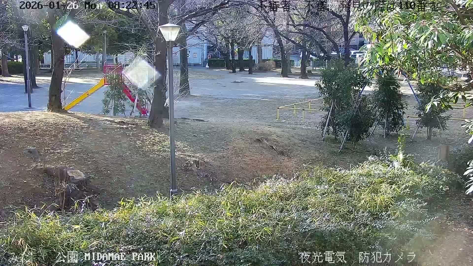 A bright, sunny winter morning illuminates a park featuring a red and yellow playground slide, numerous bare deciduous trees, green shrubs, and a lamppost, all under a clear sky.