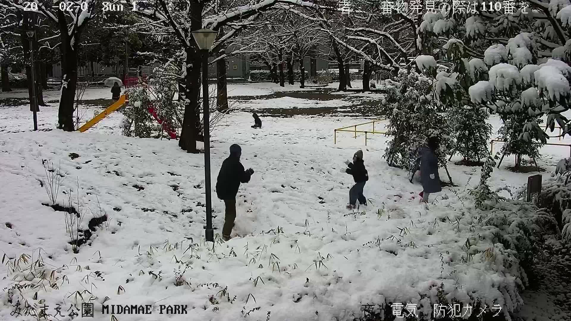 Tokyo, Yazaike, Adachi Kuritsu Midamae Park towards South ( 東京・谷在家・足立区立御大前公園南方面 ) Live Cam - 1 Chome, Yazaike, Adachi-ku, Tokyo, Kanto, Honshu, Japan