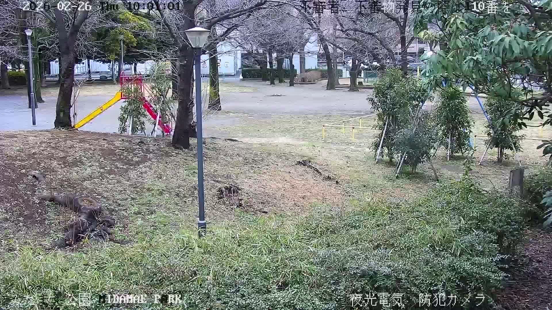 Tokyo, Yazaike, Adachi Kuritsu Midamae Park towards South ( 東京・谷在家・足立区立御大前公園南方面 ) Live Cam - 1 Chome, Yazaike, Adachi-ku, Tokyo, Kanto, Honshu, Japan