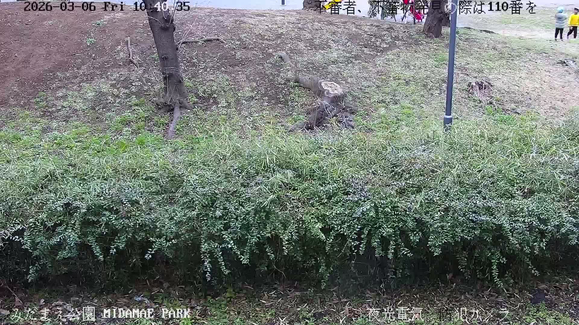 Tokyo, Yazaike, Adachi Kuritsu Midamae Park towards South ( 東京・谷在家・足立区立御大前公園南方面 ) Live Cam - 1 Chome, Yazaike, Adachi-ku, Tokyo, Kanto, Honshu, Japan