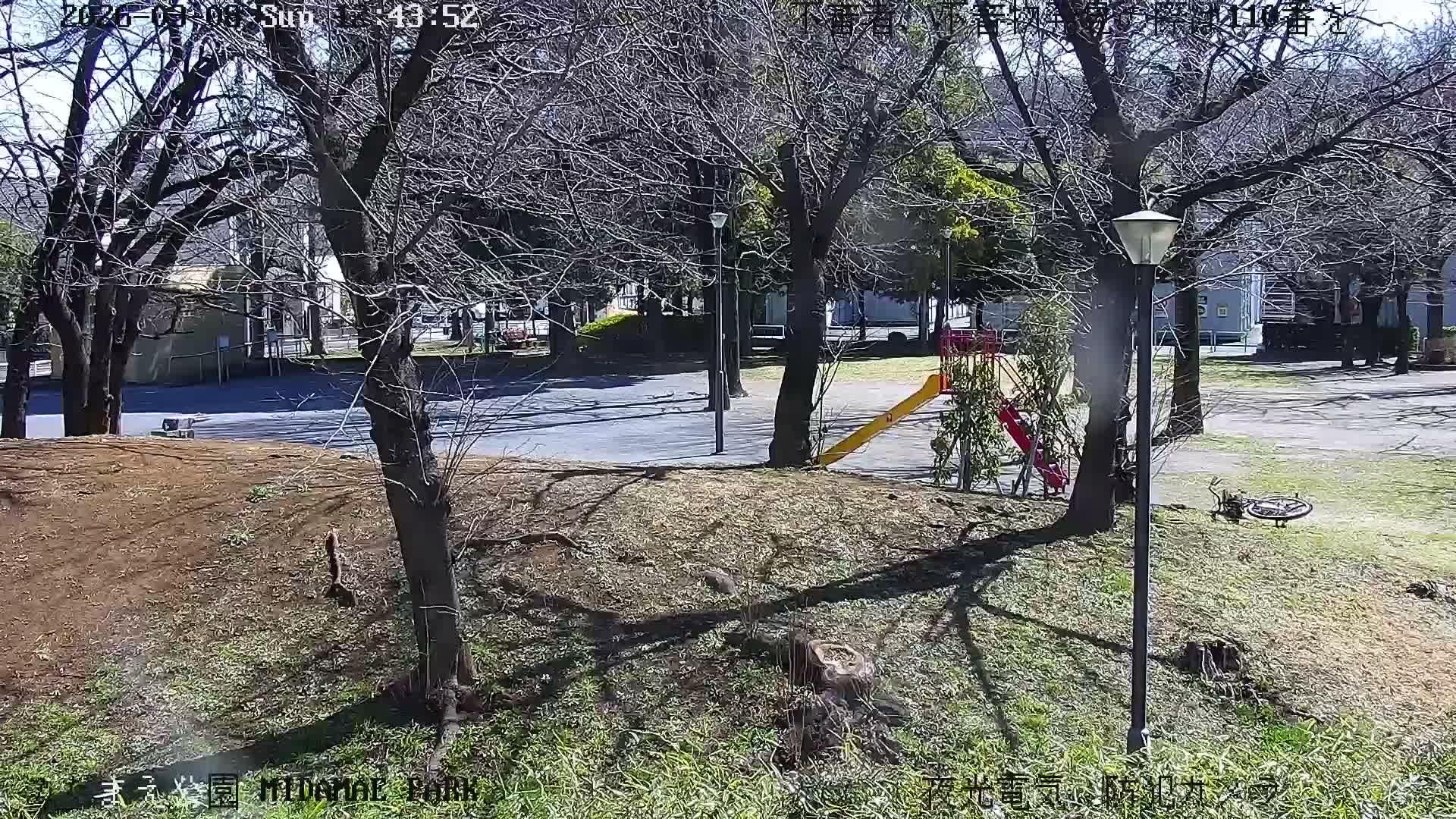 Tokyo, Yazaike, Adachi Kuritsu Midamae Park towards South ( 東京・谷在家・足立区立御大前公園南方面 ) Live Cam - 1 Chome, Yazaike, Adachi-ku, Tokyo, Kanto, Honshu, Japan