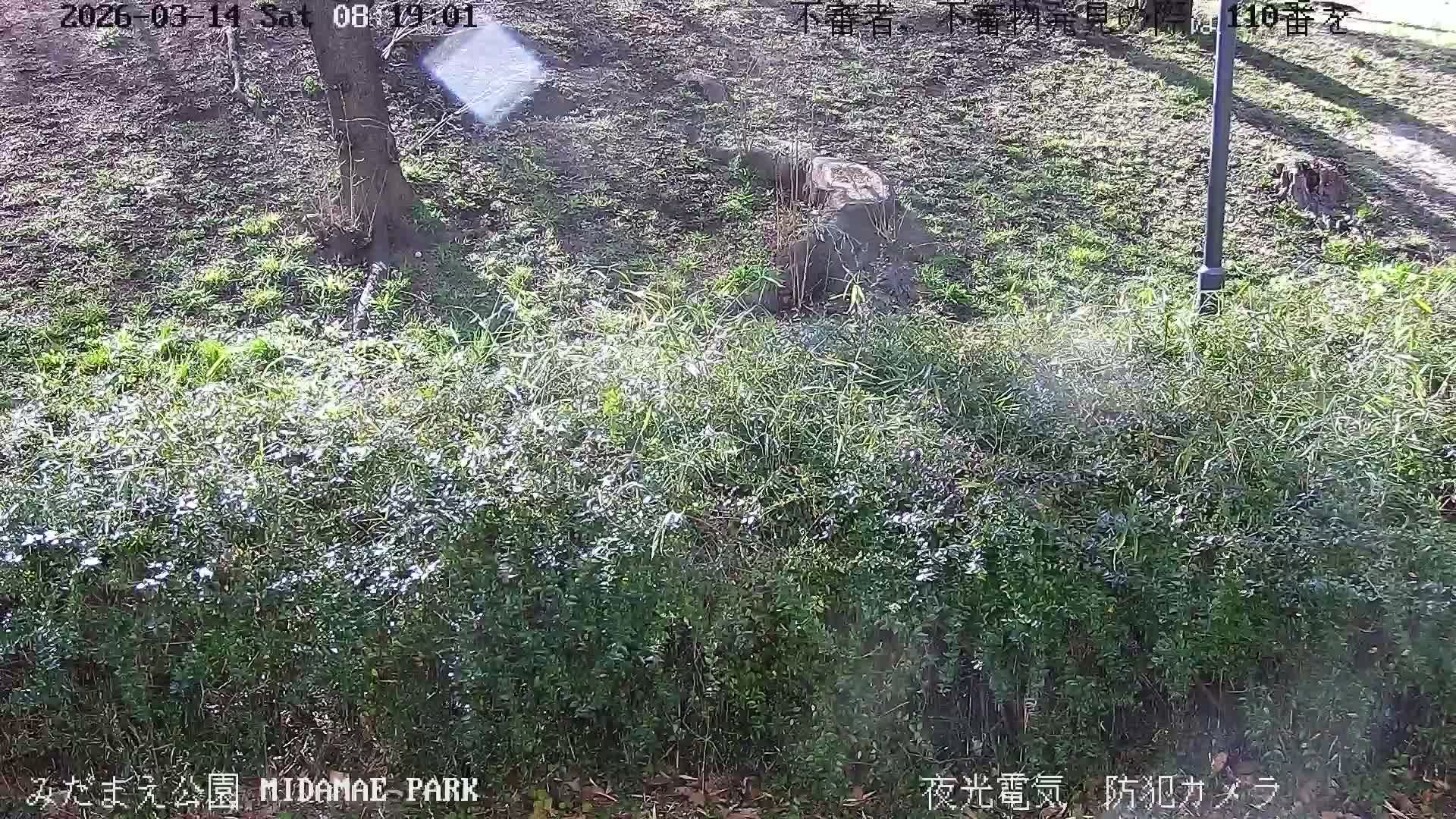 Tokyo, Yazaike, Adachi Kuritsu Midamae Park towards South ( 東京・谷在家・足立区立御大前公園南方面 ) Live Cam - 1 Chome, Yazaike, Adachi-ku, Tokyo, Kanto, Honshu, Japan