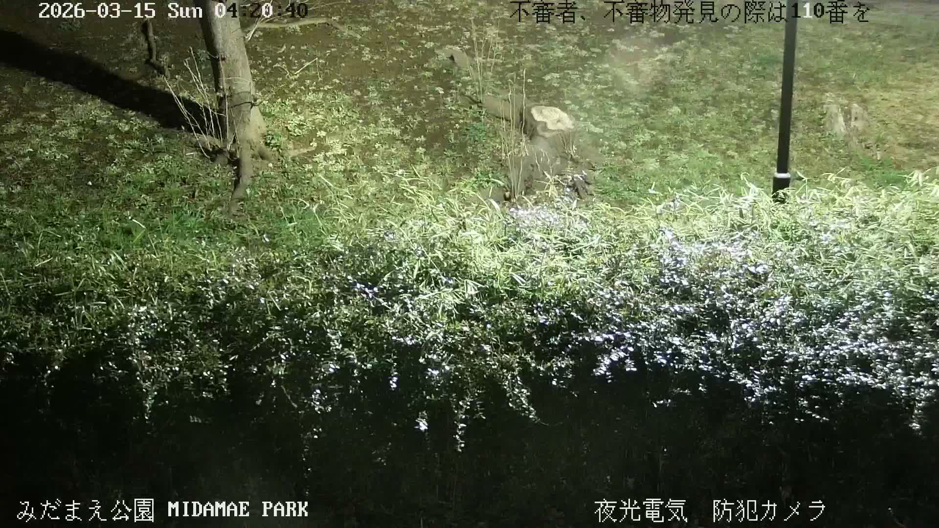 Tokyo, Yazaike, Adachi Kuritsu Midamae Park towards South ( 東京・谷在家・足立区立御大前公園南方面 ) Live Cam - 1 Chome, Yazaike, Adachi-ku, Tokyo, Kanto, Honshu, Japan