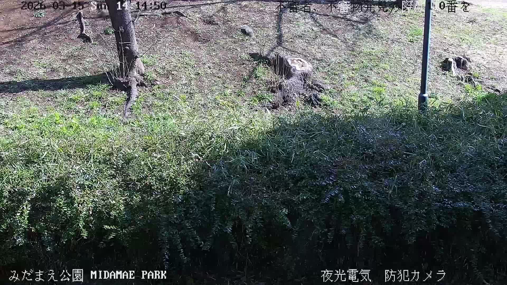 Tokyo, Yazaike, Adachi Kuritsu Midamae Park towards South ( 東京・谷在家・足立区立御大前公園南方面 ) Live Cam - 1 Chome, Yazaike, Adachi-ku, Tokyo, Kanto, Honshu, Japan