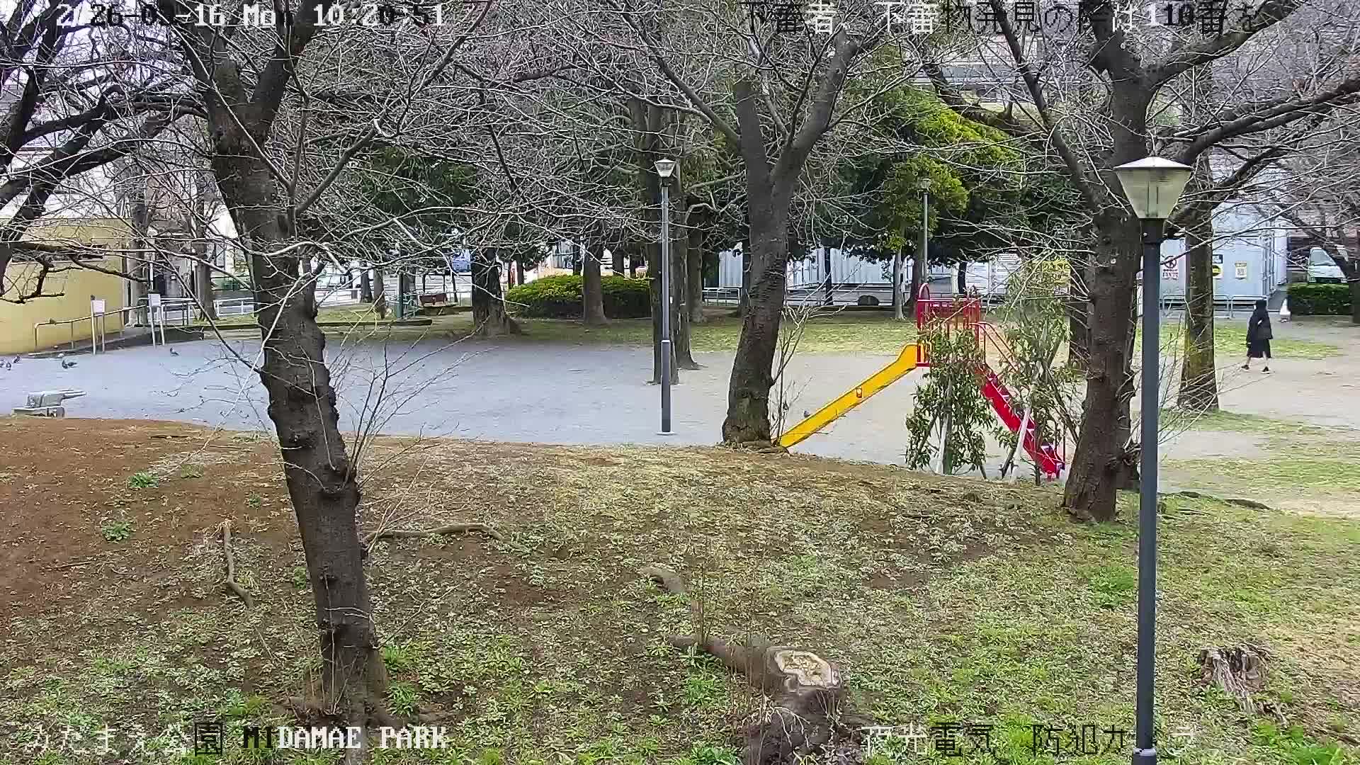 Tokyo, Yazaike, Adachi Kuritsu Midamae Park towards South ( 東京・谷在家・足立区立御大前公園南方面 ) Live Cam - 1 Chome, Yazaike, Adachi-ku, Tokyo, Kanto, Honshu, Japan