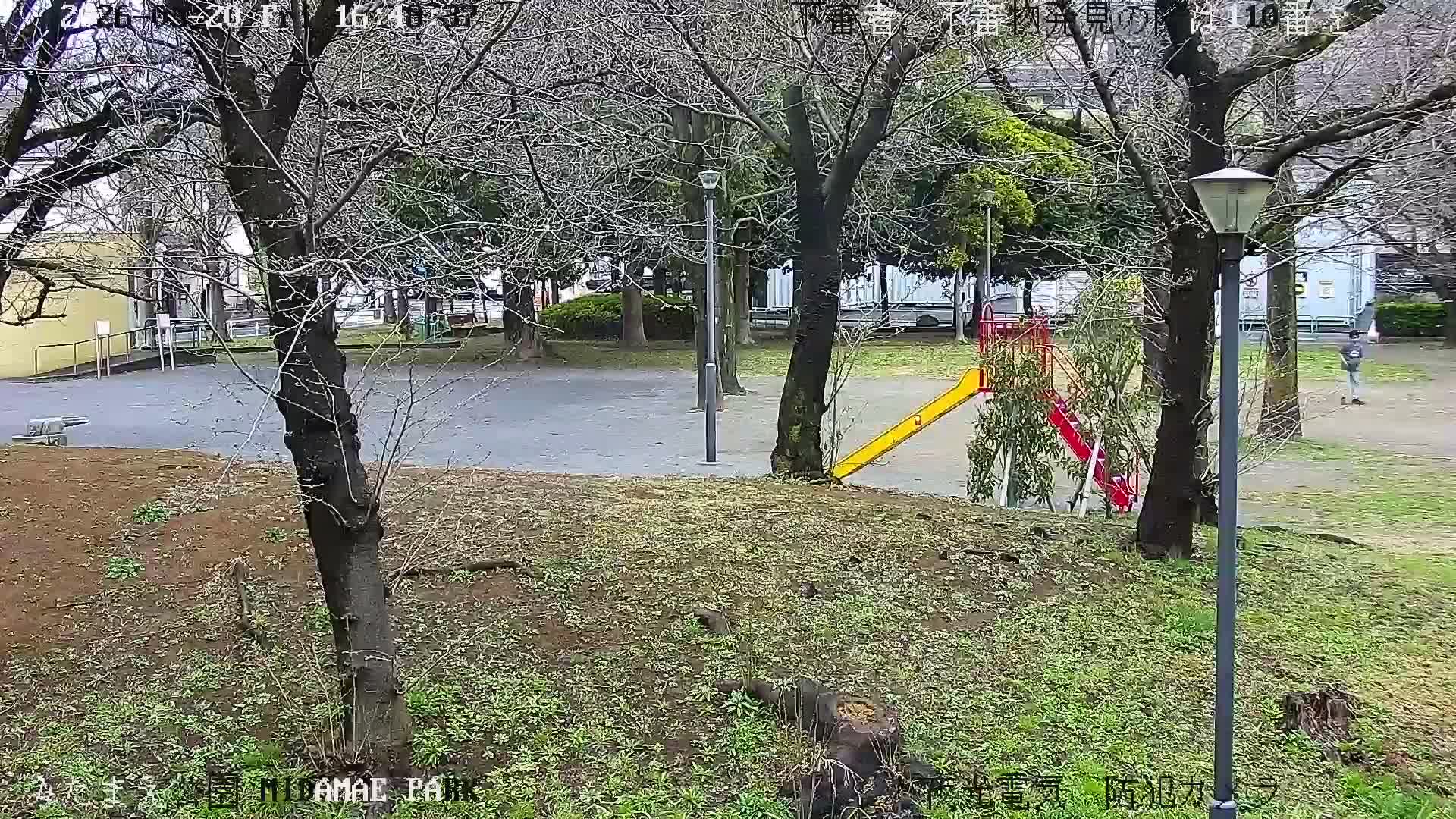Tokyo, Yazaike, Adachi Kuritsu Midamae Park towards South ( 東京・谷在家・足立区立御大前公園南方面 ) Live Cam - 1 Chome, Yazaike, Adachi-ku, Tokyo, Kanto, Honshu, Japan