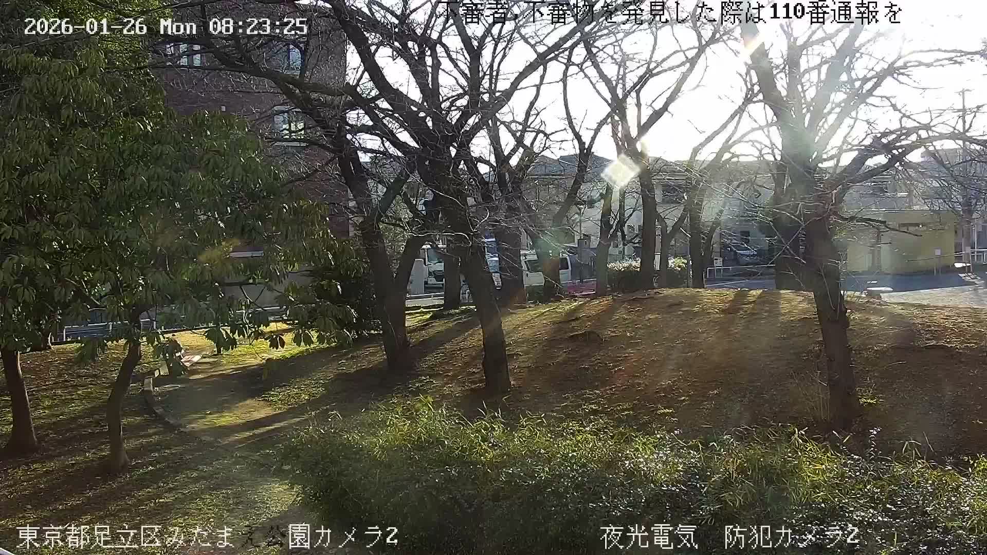 On a clear and sunny day, a park features numerous deciduous trees with bare branches, some evergreen foliage, and sunlight casting long shadows across the uneven ground where a person is faintly visible, with buildings in the background.