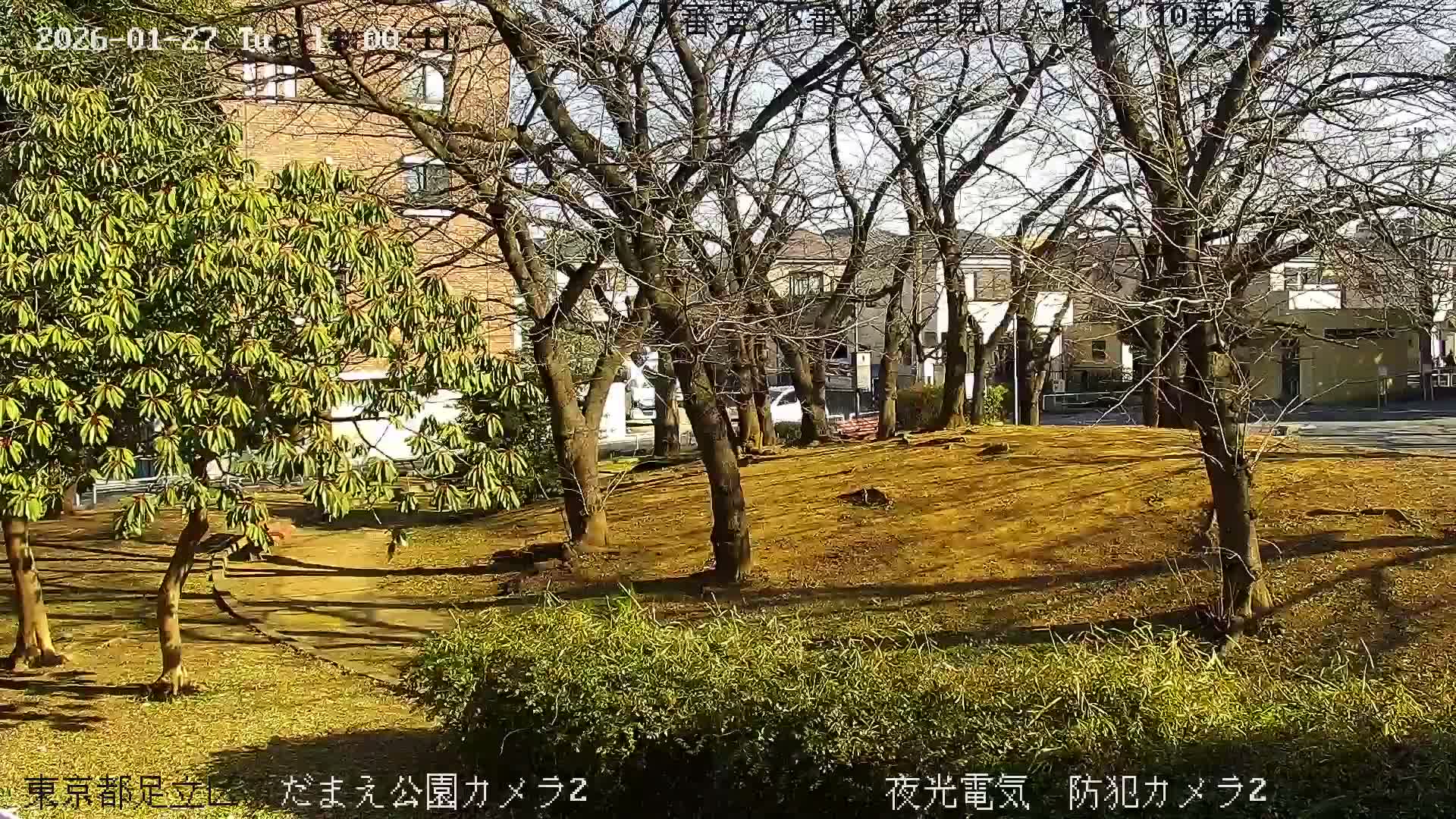 Tokyo, Yazaike, Adachi Kuritsu Midamae Park towards East ( 東京・谷在家・足立区立御大前公園東方向 ) Live Cam - 1 Chome, Yazaike, Adachi-ku, Tokyo, Kanto, Honshu, Japan