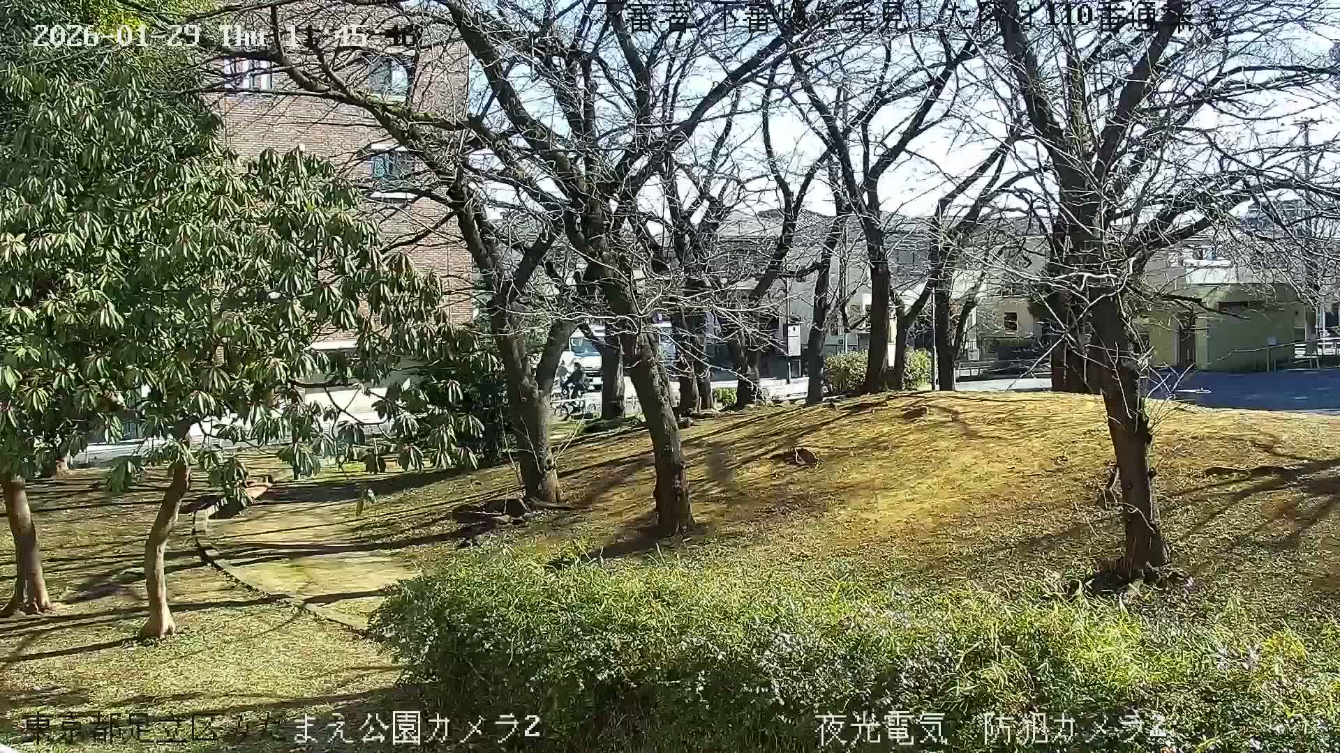 Tokyo, Yazaike, Adachi Kuritsu Midamae Park towards East ( 東京・谷在家・足立区立御大前公園東方向 ) Live Cam - 1 Chome, Yazaike, Adachi-ku, Tokyo, Kanto, Honshu, Japan