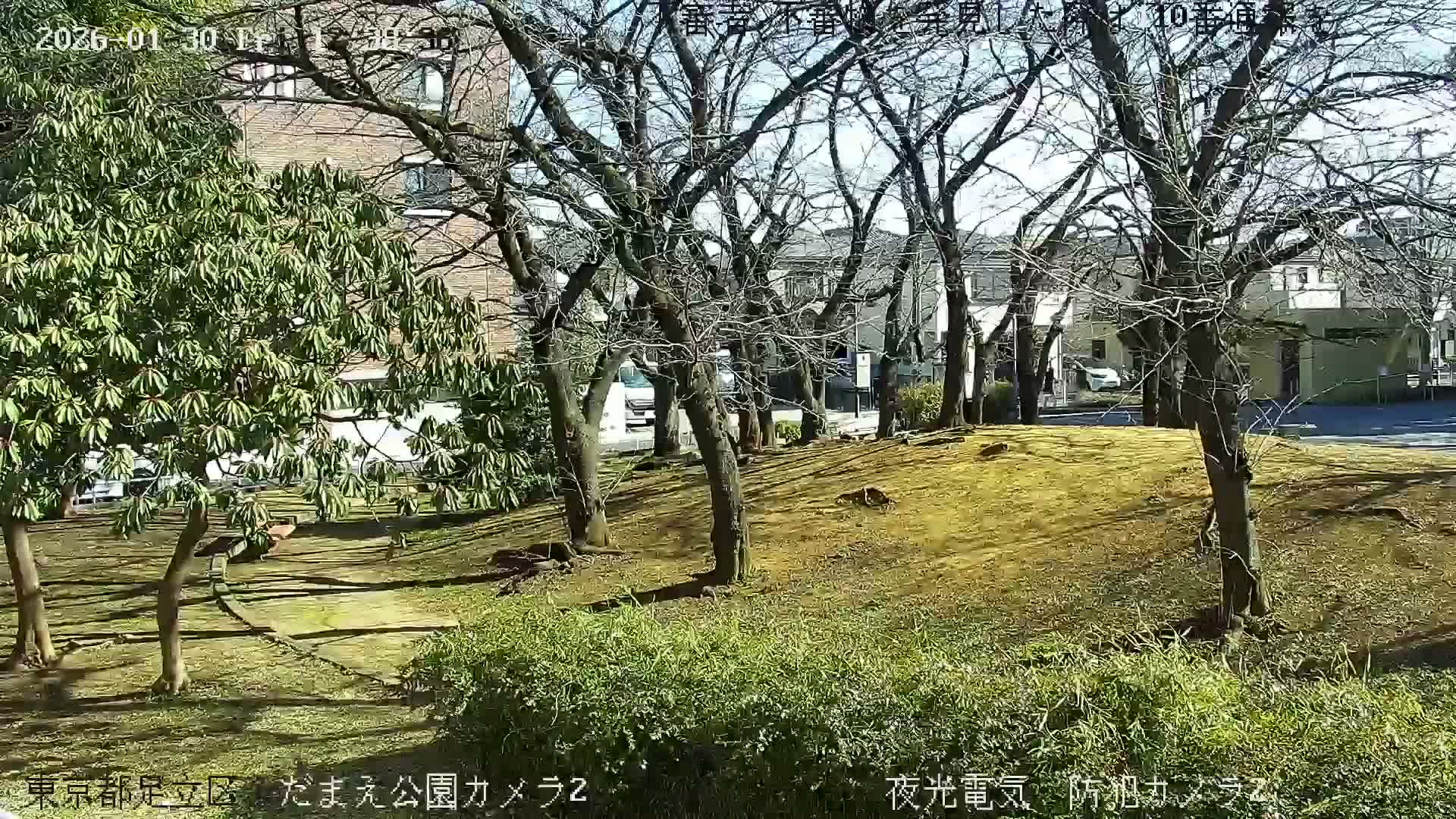 Tokyo, Yazaike, Adachi Kuritsu Midamae Park towards East ( 東京・谷在家・足立区立御大前公園東方向 ) Live Cam - 1 Chome, Yazaike, Adachi-ku, Tokyo, Kanto, Honshu, Japan