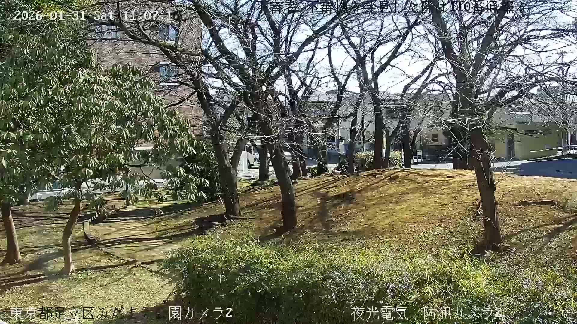 Tokyo, Yazaike, Adachi Kuritsu Midamae Park towards East ( 東京・谷在家・足立区立御大前公園東方向 ) Live Cam - 1 Chome, Yazaike, Adachi-ku, Tokyo, Kanto, Honshu, Japan