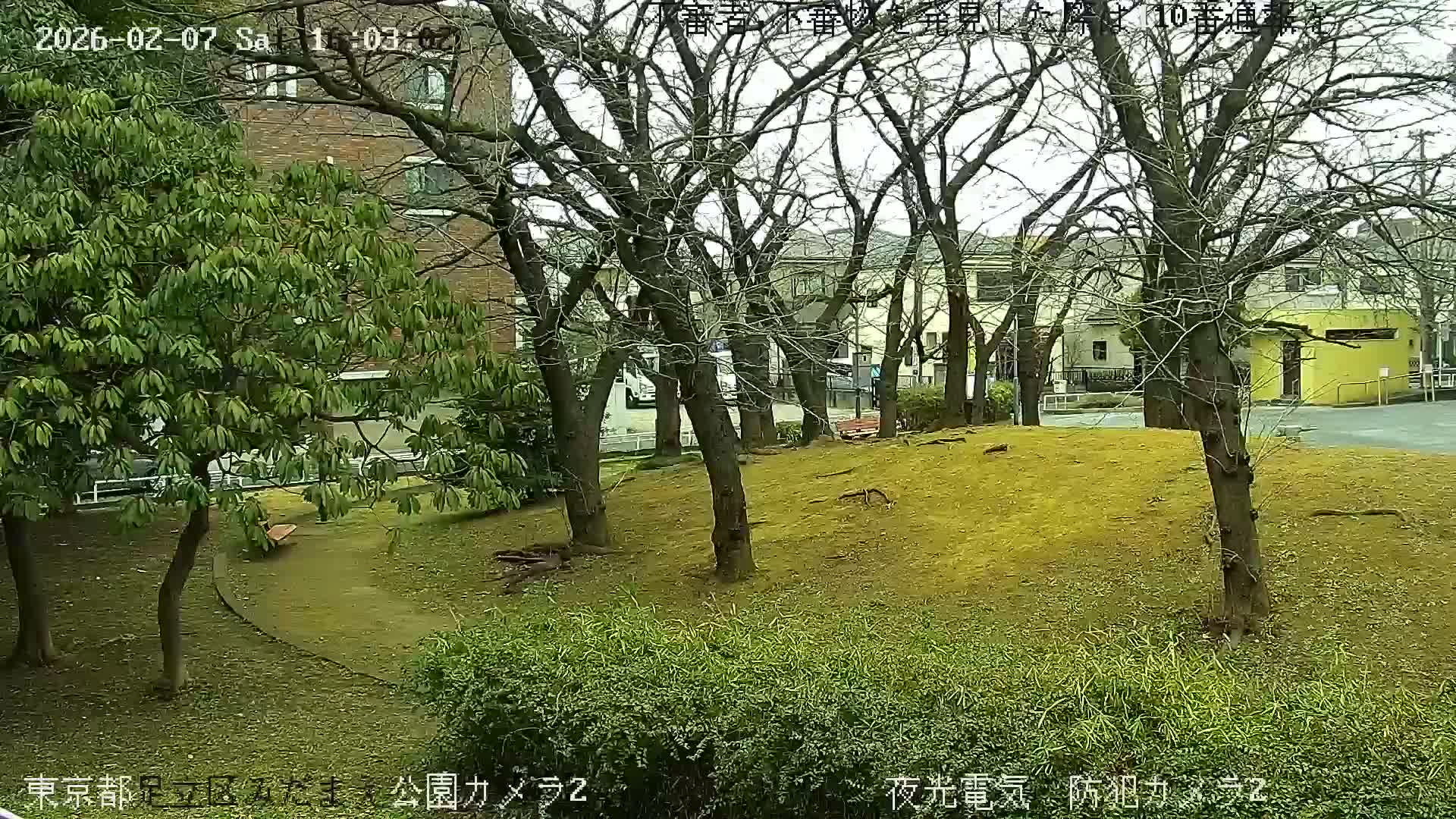 Tokyo, Yazaike, Adachi Kuritsu Midamae Park towards East ( 東京・谷在家・足立区立御大前公園東方向 ) Live Cam - 1 Chome, Yazaike, Adachi-ku, Tokyo, Kanto, Honshu, Japan