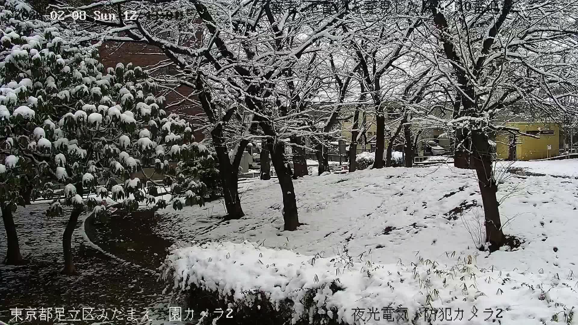 Tokyo, Yazaike, Adachi Kuritsu Midamae Park towards East ( 東京・谷在家・足立区立御大前公園東方向 ) Live Cam - 1 Chome, Yazaike, Adachi-ku, Tokyo, Kanto, Honshu, Japan