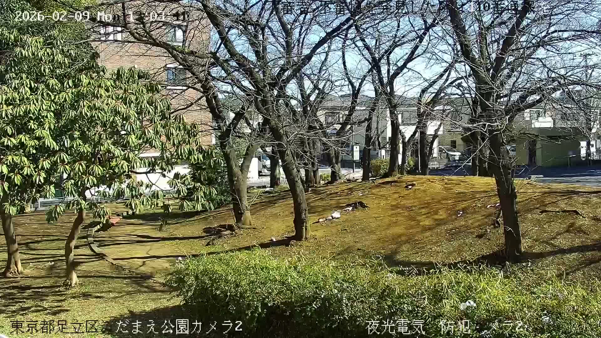 Tokyo, Yazaike, Adachi Kuritsu Midamae Park towards East ( 東京・谷在家・足立区立御大前公園東方向 ) Live Cam - 1 Chome, Yazaike, Adachi-ku, Tokyo, Kanto, Honshu, Japan