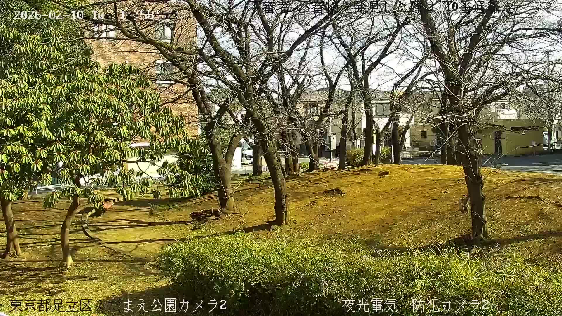 Tokyo, Yazaike, Adachi Kuritsu Midamae Park towards East ( 東京・谷在家・足立区立御大前公園東方向 ) Live Cam - 1 Chome, Yazaike, Adachi-ku, Tokyo, Kanto, Honshu, Japan