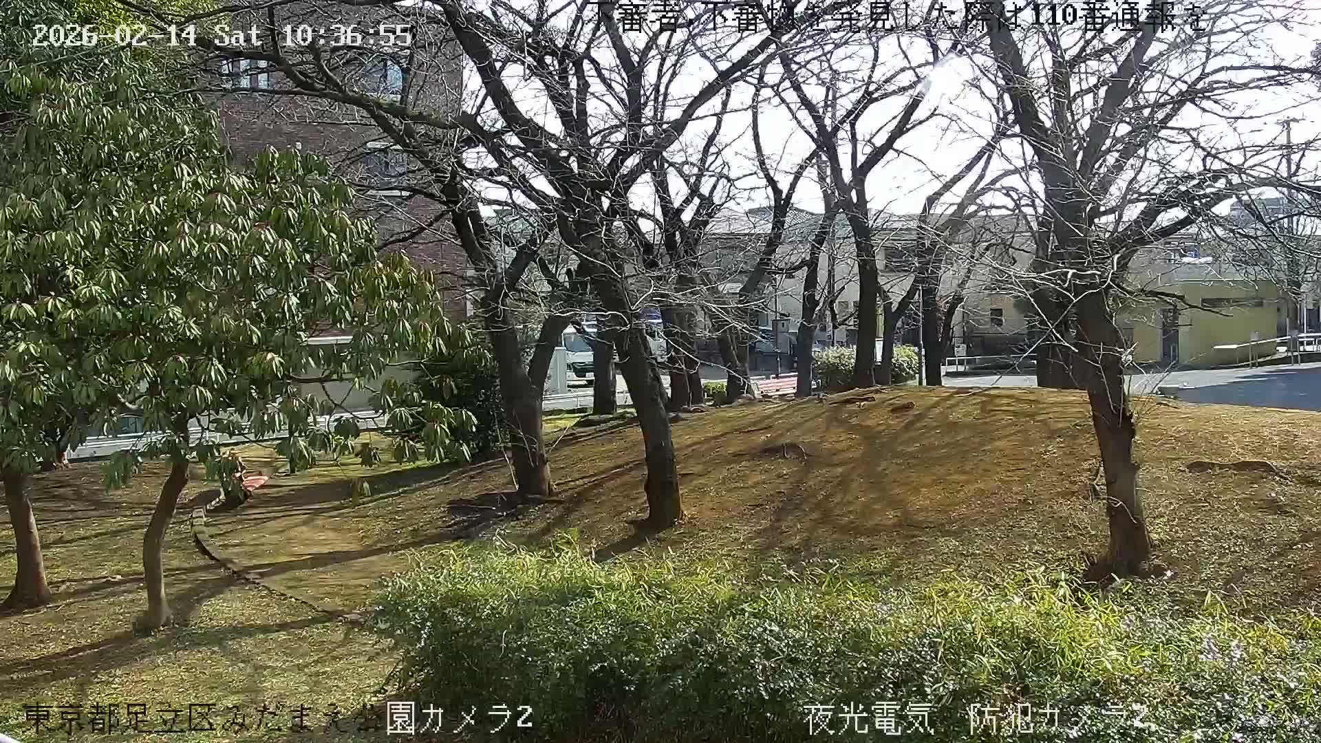 Tokyo, Yazaike, Adachi Kuritsu Midamae Park towards East ( 東京・谷在家・足立区立御大前公園東方向 ) Live Cam - 1 Chome, Yazaike, Adachi-ku, Tokyo, Kanto, Honshu, Japan