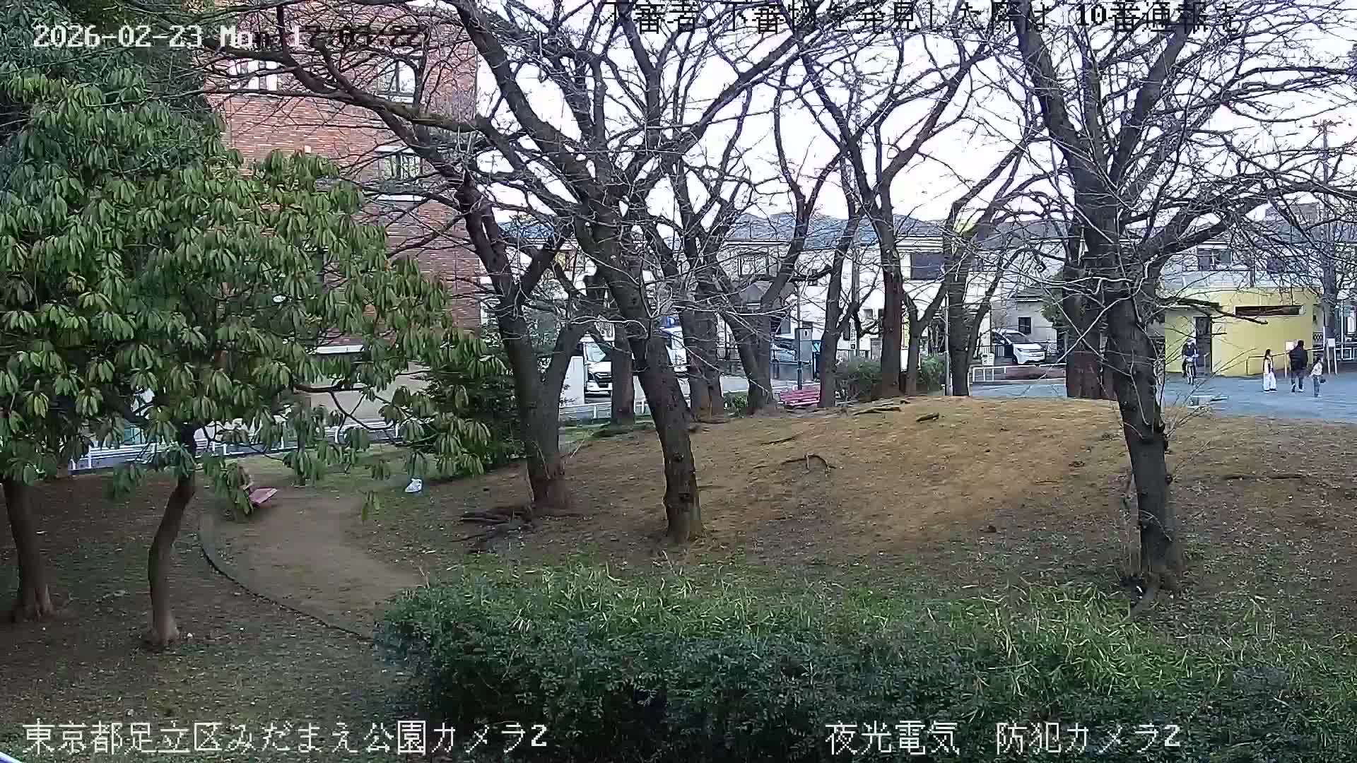 Tokyo, Yazaike, Adachi Kuritsu Midamae Park towards East ( 東京・谷在家・足立区立御大前公園東方向 ) Live Cam - 1 Chome, Yazaike, Adachi-ku, Tokyo, Kanto, Honshu, Japan