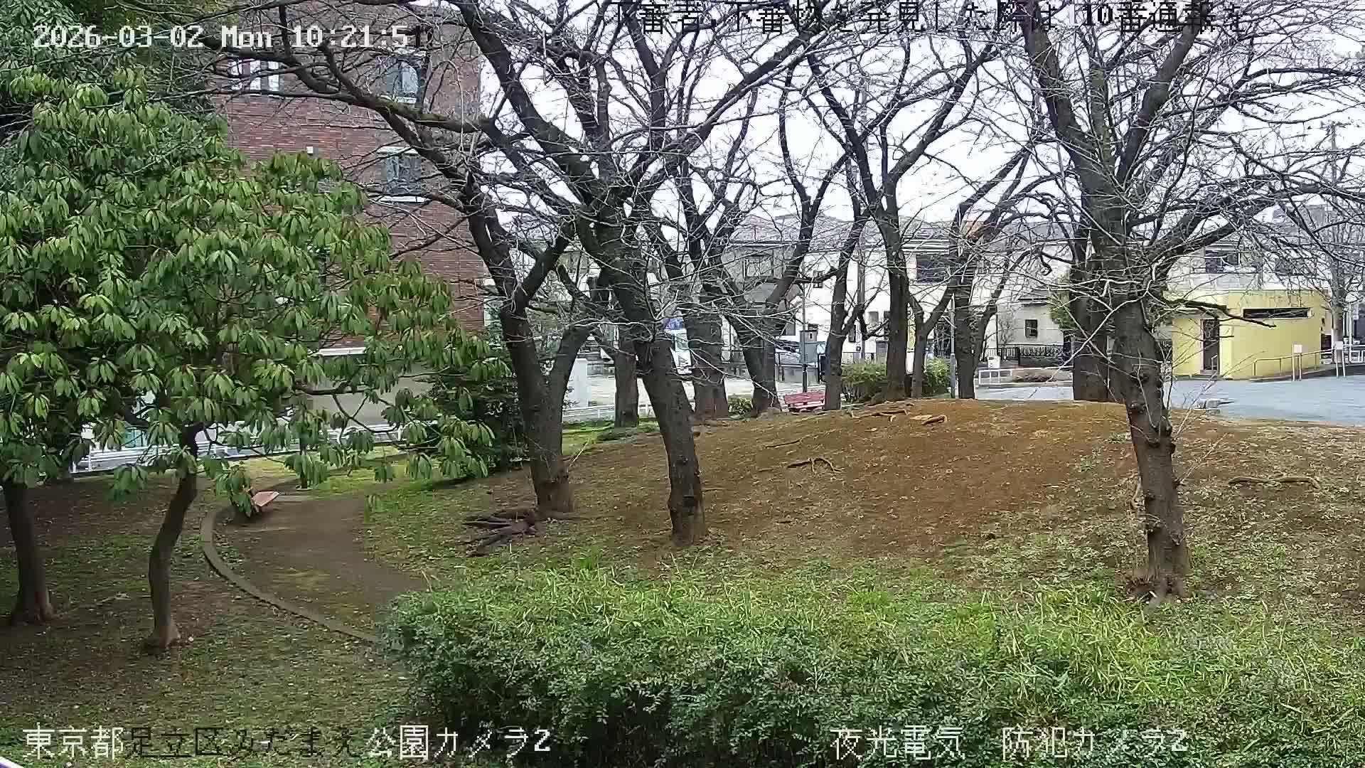 Tokyo, Yazaike, Adachi Kuritsu Midamae Park towards East ( 東京・谷在家・足立区立御大前公園東方向 ) Live Cam - 1 Chome, Yazaike, Adachi-ku, Tokyo, Kanto, Honshu, Japan