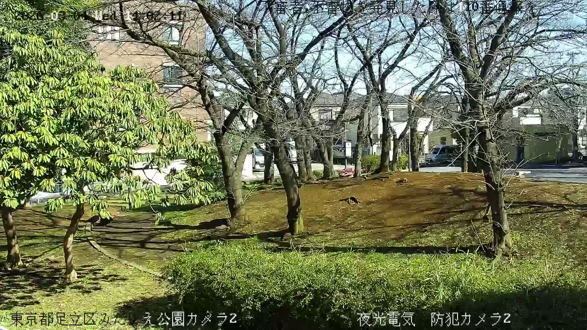 Tokyo, Yazaike, Adachi Kuritsu Midamae Park towards East ( 東京・谷在家・足立区立御大前公園東方向 ) Live Cam - 1 Chome, Yazaike, Adachi-ku, Tokyo, Kanto, Honshu, Japan